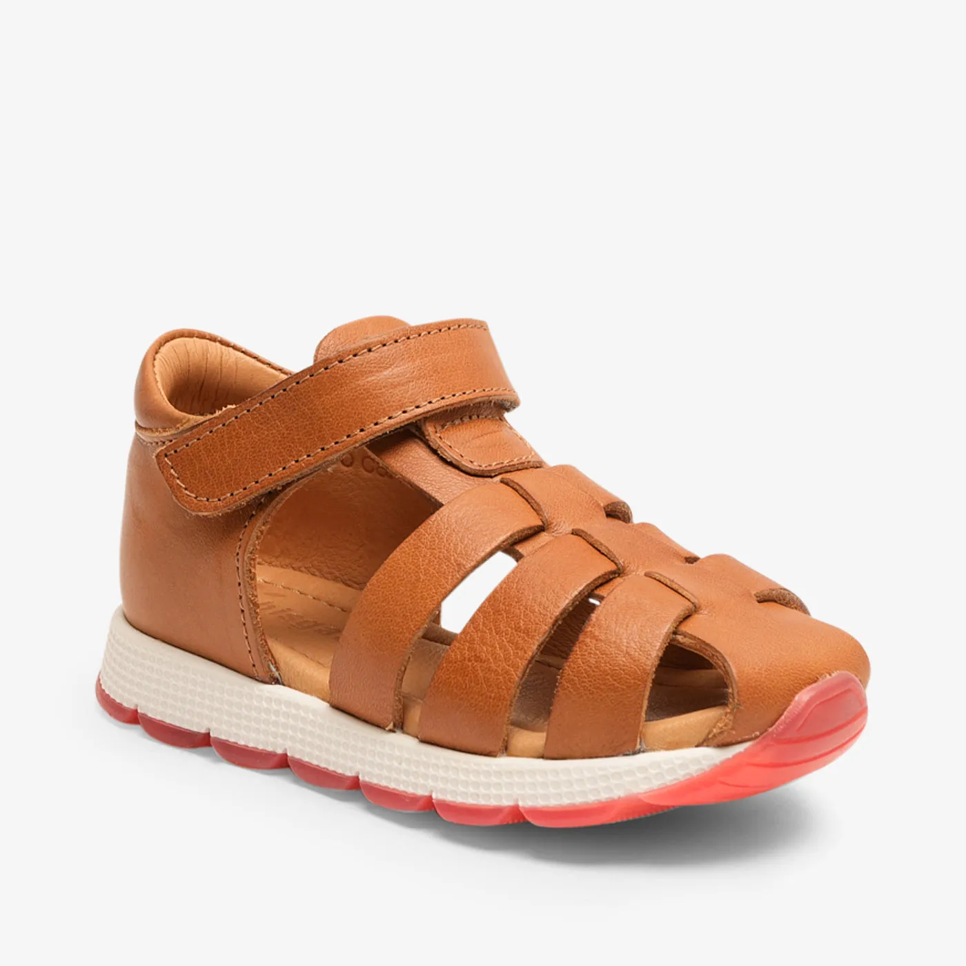 bisgaard elva cognac