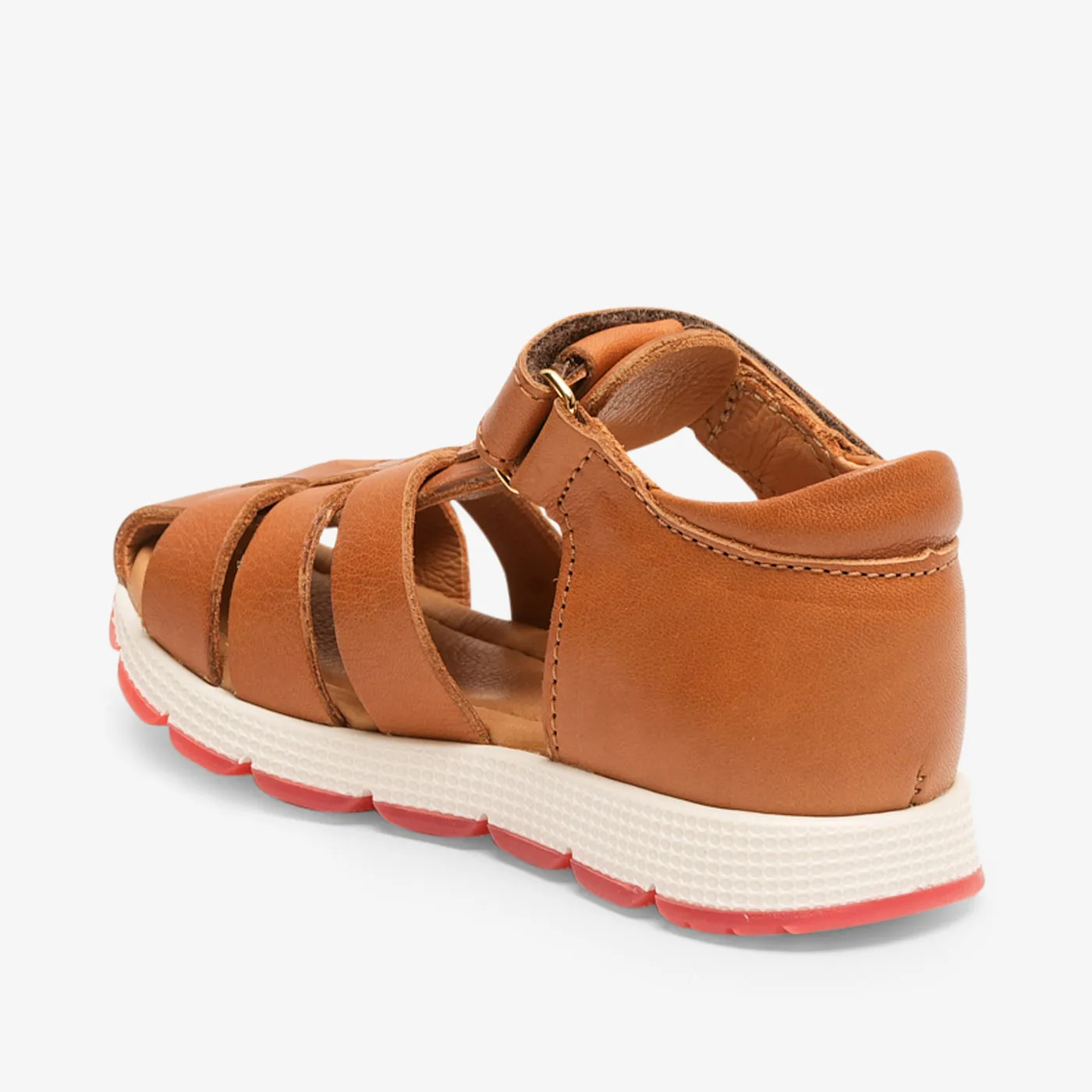 bisgaard elva cognac