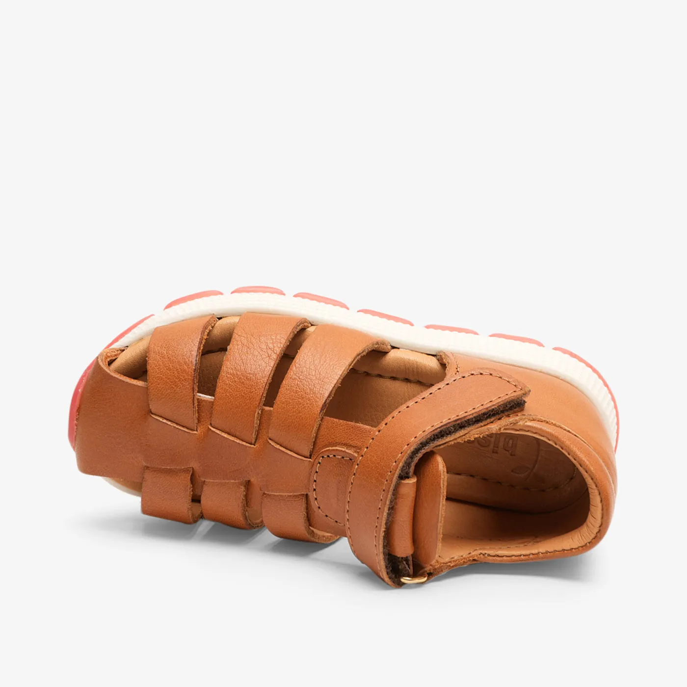 bisgaard elva cognac