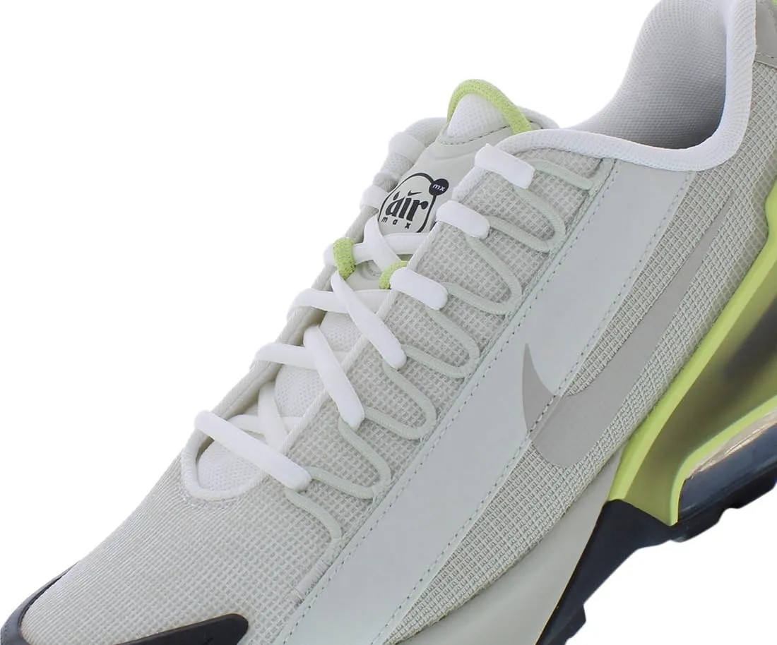 Nike Air Max Pulse Roam Men's Shoes (DZ3544-001, Dark Smoke Grey/Iron Grey)