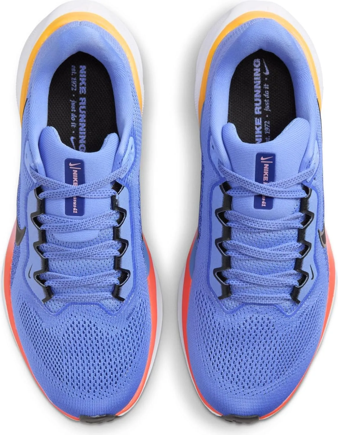 Nike Pegasus 41 Women's Road Running Shoes (FD2723-005, Phantom/Light Pumice/Sail/Metallic Gold)